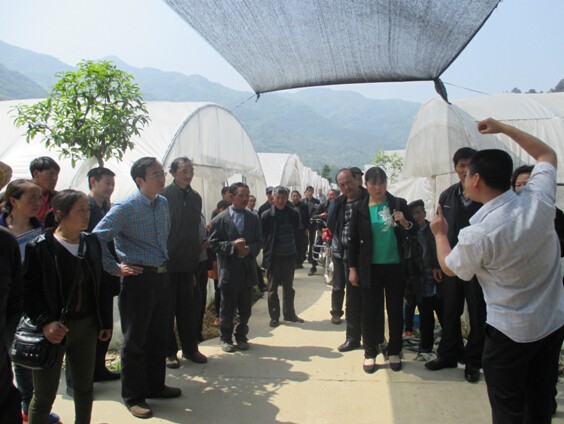 2015042010583507.jpg